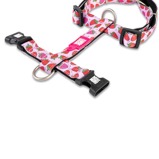 Max Molly Strawberry Dream Desenli Köpek Göğüs Tasması (Medium) - 2