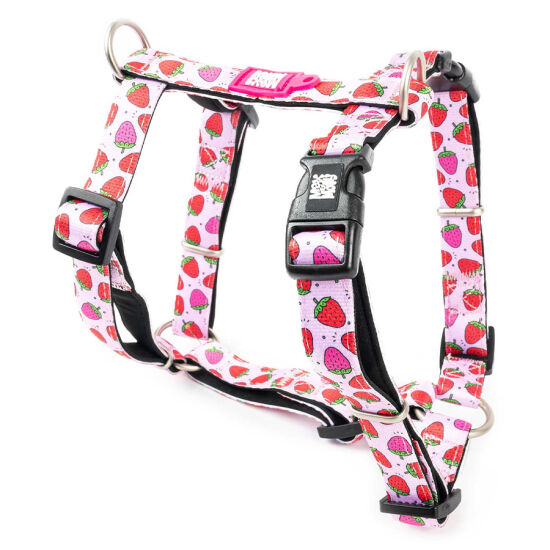 Max Molly Strawberry Dream Desenli Köpek Göğüs Tasması (XSmall) - 1