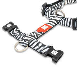Max Molly Zebra Desenli Köpek Göğüs Tasması (Medium) - 2
