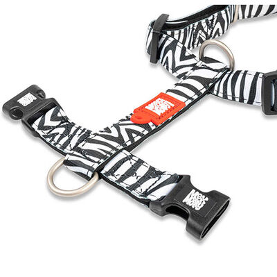 Max Molly Zebra Desenli Köpek Göğüs Tasması (Medium)