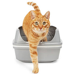Moderna 4 Katlı Elekli Kedi Tuvaleti Gri 43 x 57 x 27 - 4