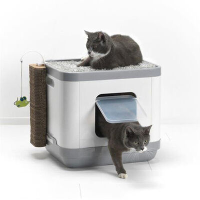 Moderna Cat Consept Çok İşlevli Kedi Evi (Tuvalet-Tırmalama-Yatak)