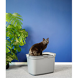 Moderna Top Cat Üstten Girişli Kapalı Kedi Tuvaleti 59 Cm ( Beyaz ) - 3