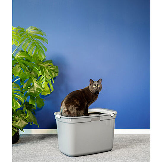 Moderna Top Cat Üstten Girişli Kapalı Kedi Tuvaleti 59 Cm ( Beyaz ) - 3