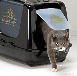 Moderna Trendy Luxurious Kapalı Kedi Tuvaleti 50 Cm - 4