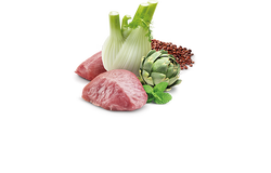 ND 2369 Quinoa Mini Digestion Hassas Sindirim Kinoa, Kuzu, Enginarlı Köpek Konservesi 140 Gr - 2