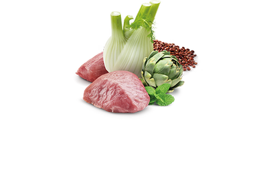 ND 2369 Quinoa Mini Digestion Hassas Sindirim Kinoa, Kuzu, Enginarlı Köpek Konservesi 140 Gr - 2