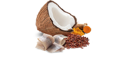 ND 2383 Quinoa Mini Skin&Coat Deri Tüy Sağlığı Kinoa, R.Balığı, H. Cevizli Köpek Konservesi 140 Gr - Thumbnail