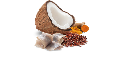 ND 2383 Quinoa Mini Skin&Coat Deri Tüy Sağlığı Kinoa, R.Balığı, H. Cevizli Köpek Konservesi 140 Gr