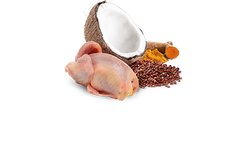 ND 2390 Quinoa Mini Skin&Coat Deri Tüy Sağlığı Kinoa, Bıldırcın, H. Cevizli Köpek Konservesi 140 Gr - 2