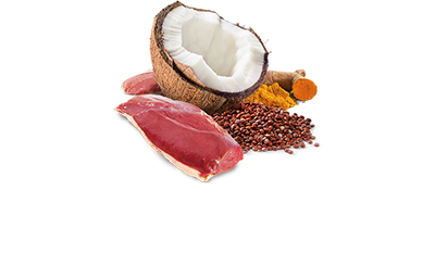 ND 2628 Quinoa Skin&Coat Deri Tüy Sağlığı Kinoa, Ördek, H. Cevizli Köpek Konservesi 285 Gr - 2