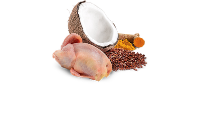 ND 2642 Quinoa Skin&Coat Deri Tüy Sağlığı Kinoa, Bıldırcın, H. Cevizli Köpek Konservesi 285 Gr - 2