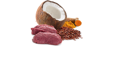 ND 2659 Quinoa Skin&Coat Deri Tüy Sağlığı Kinoa ve Geyikli Köpek Konservesi 285 Gr - 2