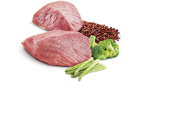 ND 2666 Quinoa Weight Management Light Kinoa Kuzu Köpek Konservesi 285 Gr - 2