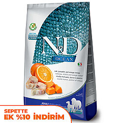 ND Ocean Tahılsız Balkabaklı Balıklı Medium Maxi Köpek Maması 2,5 Kg - N&D