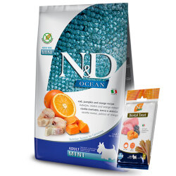 ND Ocean Tahılsız Balkabaklı Morina Balıklı Küçük Irk Köpek Maması 2,5 Kg + ND Dental Köpek Ödülü - N&D