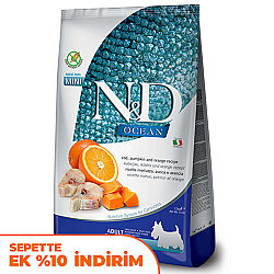 ND Ocean Tahılsız Balkabaklı Morina Balıklı Küçük Irk Köpek Maması 2,5 Kg - N&D