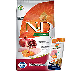 ND Tahılsız Balkabaklı Tavuk Medium Maxi Yavru Köpek Maması 12 Kg + ND Dental Köpek Ödülü - N&D