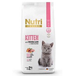 Nutri Feline - Nutri Feline Kitten Yavru Glutensiz Kedi Maması 2 Kg