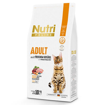 Nutri Feline Poultry Kümes Hayvanlı Glutensiz Kedi Maması 10 Kg + 3 Adet 85 Gr Yaş Mama