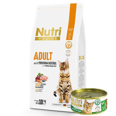 Nutri Feline Poultry Kümes Hayvanlı Glutensiz Kedi Maması 10 Kg + 3 Adet 85 Gr Yaş Mama