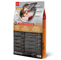 Orijen Orijinal Cat Tahılsız Yavru ve Yetişkin Kedi Maması 17 Kg - 2