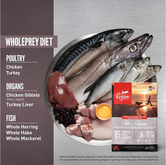 Orijen Fit Trim Yetişkin Tahılsız Köpek Maması 11,4 Kg - 4