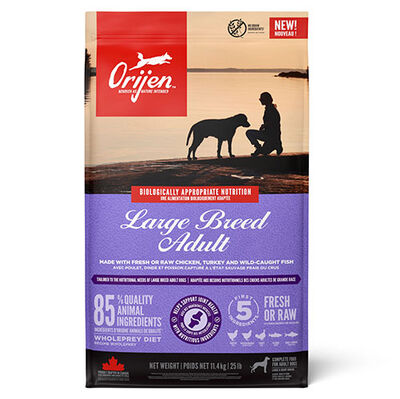 Orijen Large Breed Adult Tahılsız Büyük Irk Köpek Maması 11,4 Kg + Gimdog 70 Gr Köpek Ödülü - 2