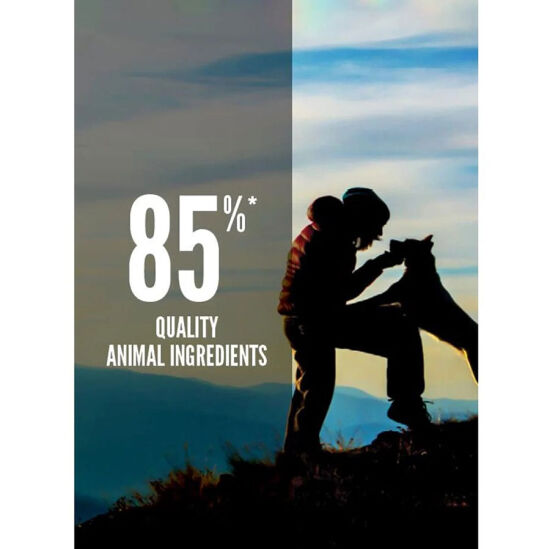 Orijen Original Tavuk ve Hindi Tahılsız Köpek Maması 2 Kg - 5