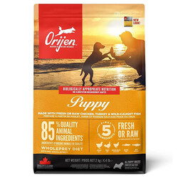 Orijen Puppy Tahılsız Yavru Köpek Maması 2 Kg + Gimdog 70 Gr Köpek Ödülü - 2