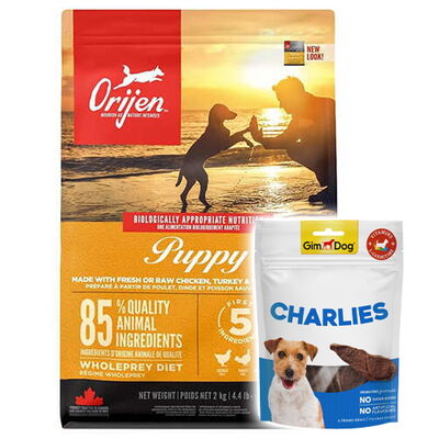 Orijen Puppy Tahılsız Yavru Köpek Maması 2 Kg + Gimdog 70 Gr Köpek Ödülü