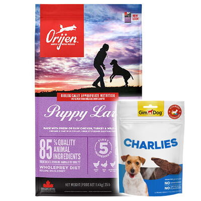 Orijen Puppy Large Tahılsız Büyük Irk Yavru Köpek Maması 11,4 Kg + Gimdog 70 Gr Köpek Ödülü - 1