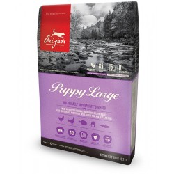 Orijen Puppy Large Tahılsız Büyük Irk Yavru Köpek Maması 11,4 Kg + Gimdog 70 Gr Köpek Ödülü - 3