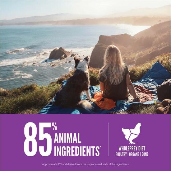 Orijen Puppy Large Tahılsız Büyük Irk Yavru Köpek Maması 11,4 Kg - 3