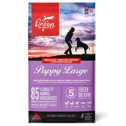 Orijen - Orijen Puppy Large Tahılsız Büyük Irk Yavru Köpek Maması 11,4 Kg 