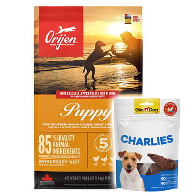 Orijen Puppy Tahılsız Yavru Köpek Maması 11,4 Kg + Gimdog 70 Gr Köpek Ödülü - 1