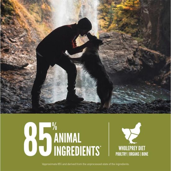 Orijen Senior Tahılsız Yaşlı Köpek Maması 11,4 Kg - 3