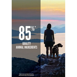 Orijen Six Fish Tahılsız 6 Balıklı Köpek Maması 11,4 Kg + Gimdog 70 Gr Köpek Ödülü - 4