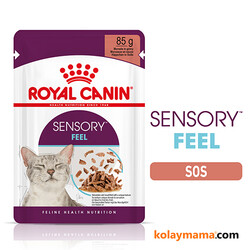 Royal Canin Sensory Feel Pouch Yaş Kedi Maması 85 Gr - Thumbnail