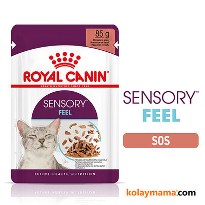 Royal Canin Sensory Feel Pouch Yaş Kedi Maması 85 Gr