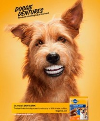 Pedigree Dentastix Large Köpek Ödül Maması 270 Gr - Thumbnail