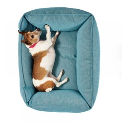Pet Comfort Alpha Mirandus 43 Kedi ve Köpek Yatağı 50x60 cm - Thumbnail