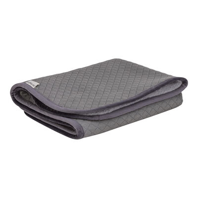 Pet Comfort Lodix Mirinda Gri Kedi ve Köpek Battaniyesi S 50x70cm - 2