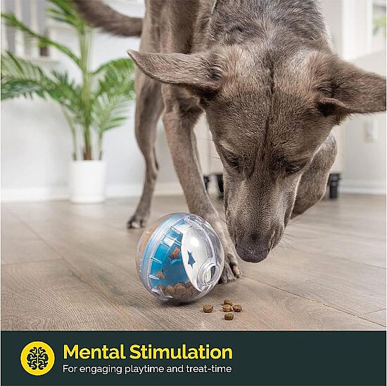 Pet Zone IQ Treat Ball Kedi ve Köpek Ödül Topu (7.5 Cm) - 10
