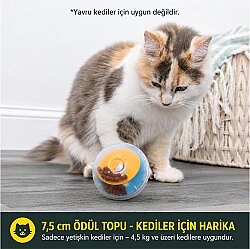 Pet Zone IQ Treat Ball Kedi ve Köpek Ödül Topu (7.5 Cm) - 6