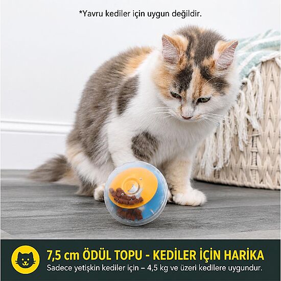 Pet Zone IQ Treat Ball Kedi ve Köpek Ödül Topu (7.5 Cm) - 6