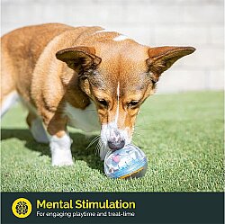 Pet Zone IQ Treat Ball Kedi ve Köpek Ödül Topu (7.5 Cm) - 11