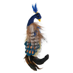 Pet Zone - Pet Zone Pretty Peacock Kedi Otlu Hışırtılı ve Tüylü Kedi Oyuncağı