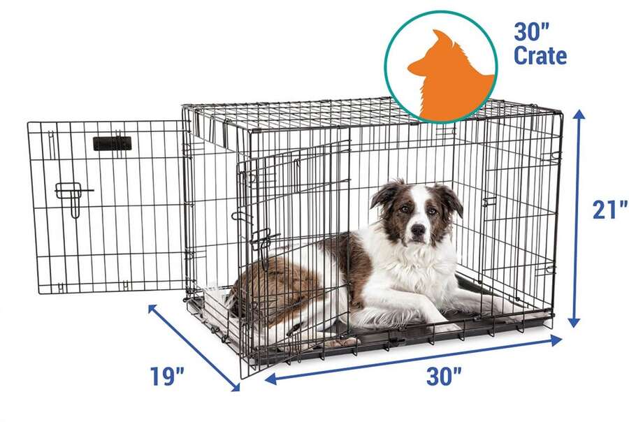 Petmate 41269 Iki Kapili Tel Kafes 76x48x54 Cm Kopek Kulube Ve Tasimalari Kopek Egitim Urunleri Petmate