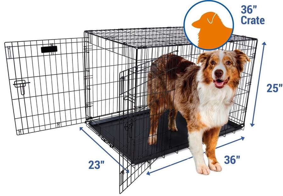 Petmate 41270 İki Kapılı Tel Kafes (92x59x64 Cm) Köpek Kulübe ve